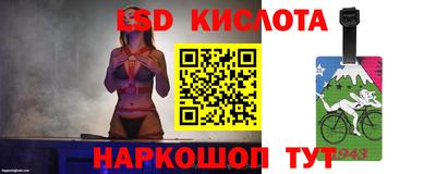 СК Камышлов