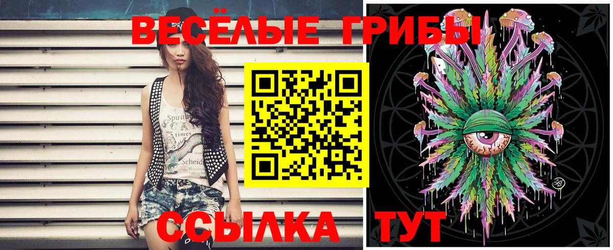 Псилоцибиновые грибы мицелий Дагестанские Огни