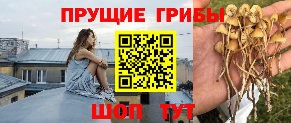 Дагестанские Огни  Галлюциногенные грибы мухоморы  Вход с VPN 