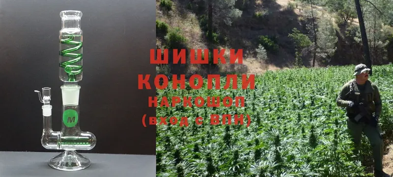 Бошки Шишки White Widow  shop Telegram  Дагестанские Огни  MEGA как войти 