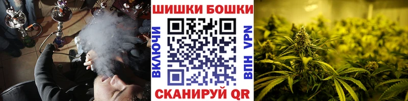 Марихуана сатива Дагестанские Огни